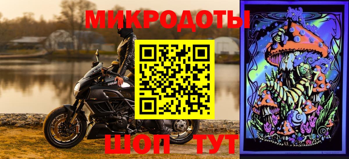 Галлюциногенные грибы мицелий Чита