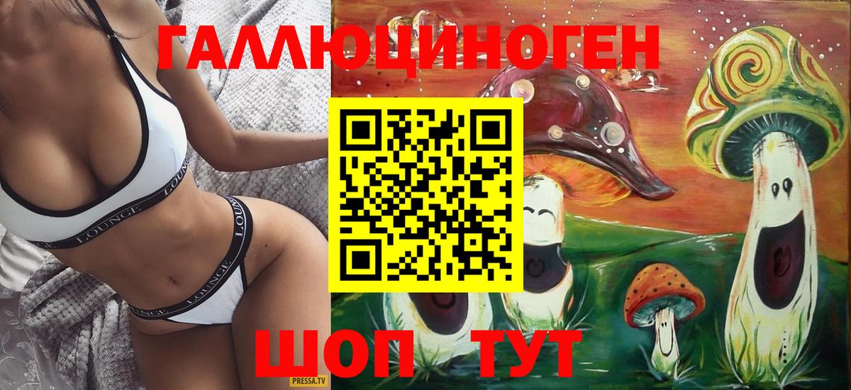 где купить наркоту  Псилоцибиновые грибы мицелий  Вход с VPN  Чита 